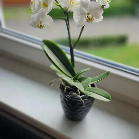 Loftwohnung In Ruhiger Gegend * Kirchheim unter Teck